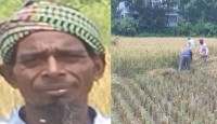 সব বাধা পেরিয়ে সফল কৃষক হোসেনের অনন্য গল্প