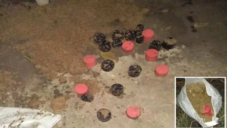 21 bombs recovered from paddy fields