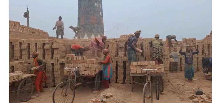 ইটভাটা গুলোতে প্রকাশ্যে কাঠ পোড়ানোর গুঞ্জন