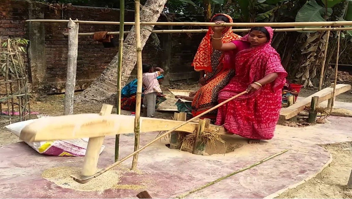 ঢেঁকি ও গাইন  গ্রামগঞ্জে নজরে পড়েই না