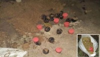 21 bombs recovered from paddy fields