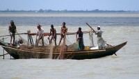 Fishing banned at Hilsa sanctuaries from...